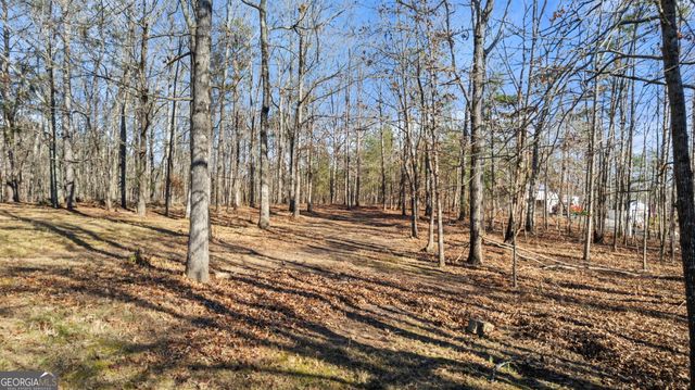 385 Breedlove Road, Ball Ground, GA 30107