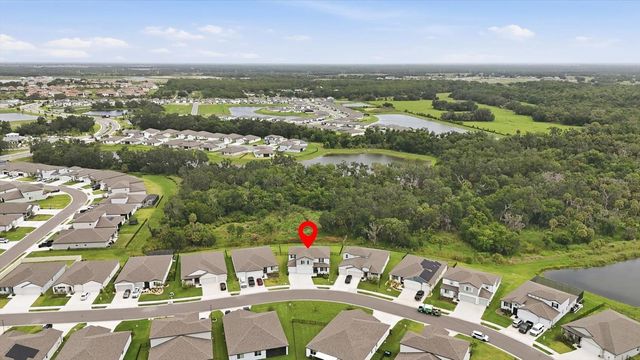 14026 GINNIE SPRINGS WAY, Parrish, FL 34219