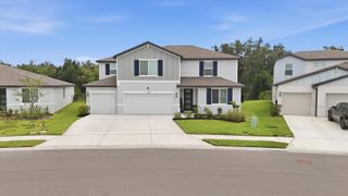 14026 GINNIE SPRINGS WAY, Parrish, FL 34219