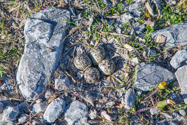 550 Fosters Lane, Stanford, KY 40484