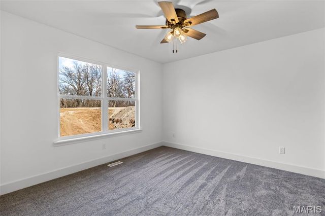 1665 Scenic Drive, Festus, MO 63028