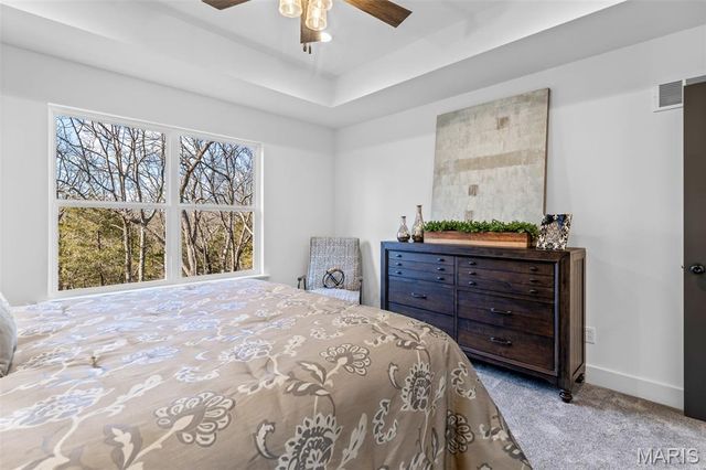 1665 Scenic Drive, Festus, MO 63028