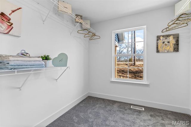 1665 Scenic Drive, Festus, MO 63028