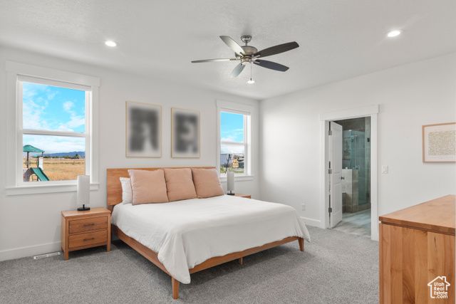 6690 W 10125 N, Tremonton, UT 84337