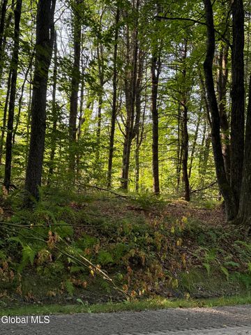 344 Dickinson Hill Road, Bolton, NY 12824