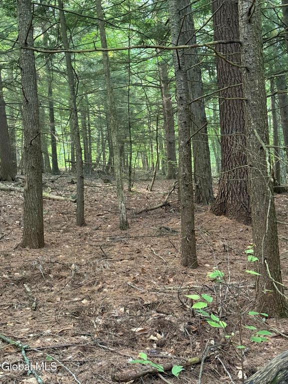 344 Dickinson Hill Road, Bolton, NY 12824