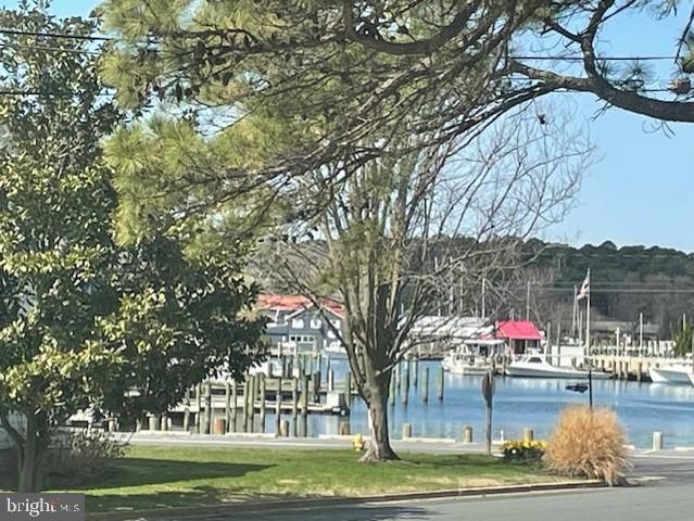 303 MANOR, Saint Michaels, MD 21663