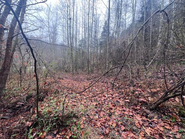 51 Houston Broughton Road, Flat Lick, KY 40935