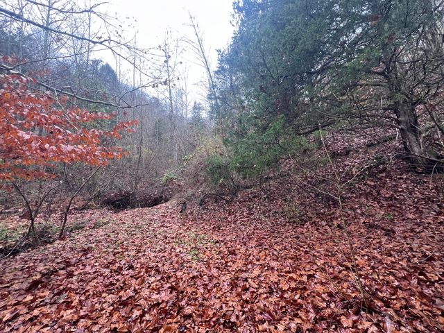 51 Houston Broughton Road, Flat Lick, KY 40935