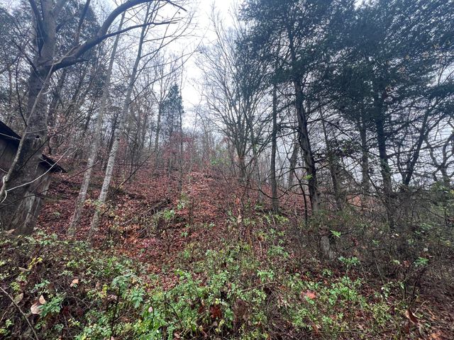 51 Houston Broughton Road, Flat Lick, KY 40935