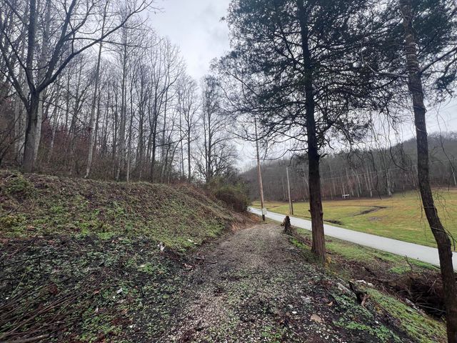 51 Houston Broughton Road, Flat Lick, KY 40935