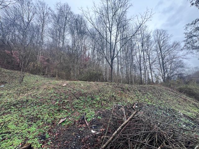 51 Houston Broughton Road, Flat Lick, KY 40935