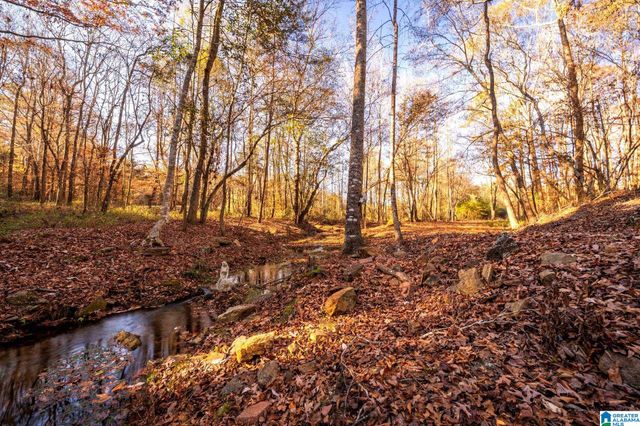 1175 COUNTY ROAD 57, Lineville, AL 36266