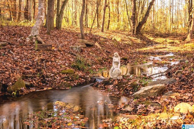 1175 COUNTY ROAD 57, Lineville, AL 36266