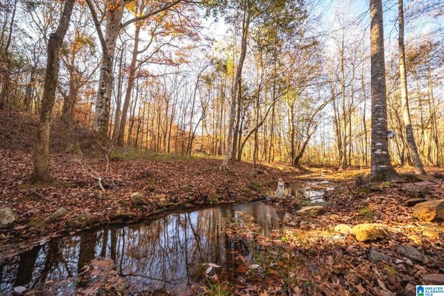 1175 COUNTY ROAD 57, Lineville, AL 36266