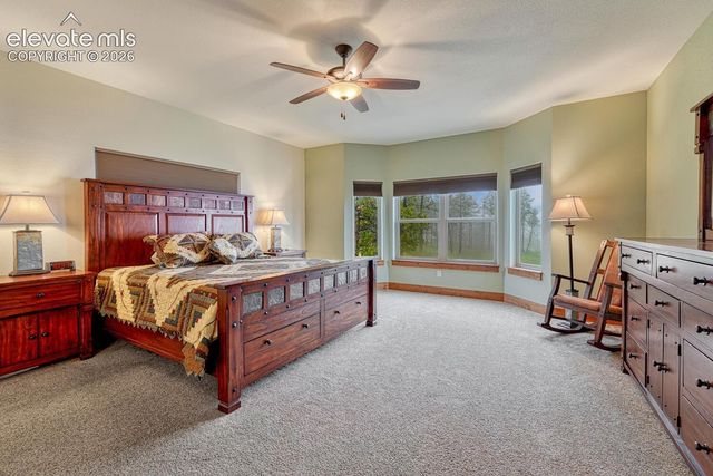 6625 Gun Club Trail, Colorado Springs, CO 80908