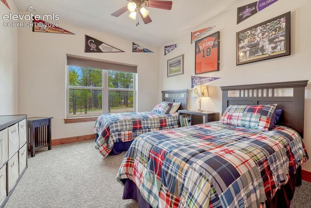6625 Gun Club Trail, Colorado Springs, CO 80908