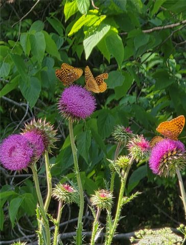 3713 Madison 8715, Huntsville, AR 72740