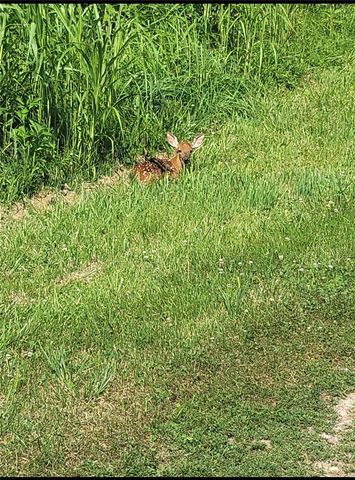 3713 Madison 8715, Huntsville, AR 72740