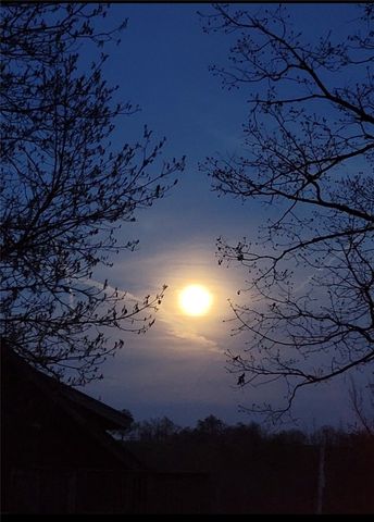 3713 Madison 8715, Huntsville, AR 72740