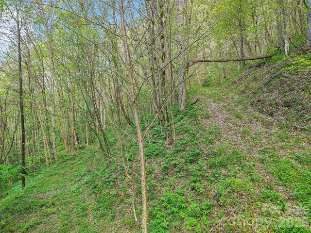 00 Star Crest Drive, Waynesville, NC 28785
