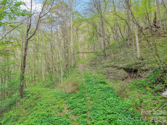 00 Star Crest Drive, Waynesville, NC 28785