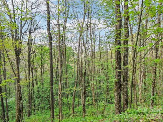 00 Star Crest Drive, Waynesville, NC 28785