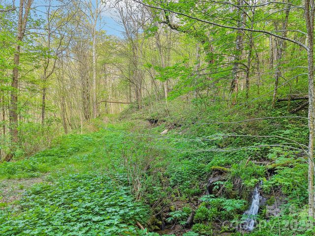 00 Star Crest Drive, Waynesville, NC 28785