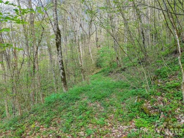 00 Star Crest Drive, Waynesville, NC 28785