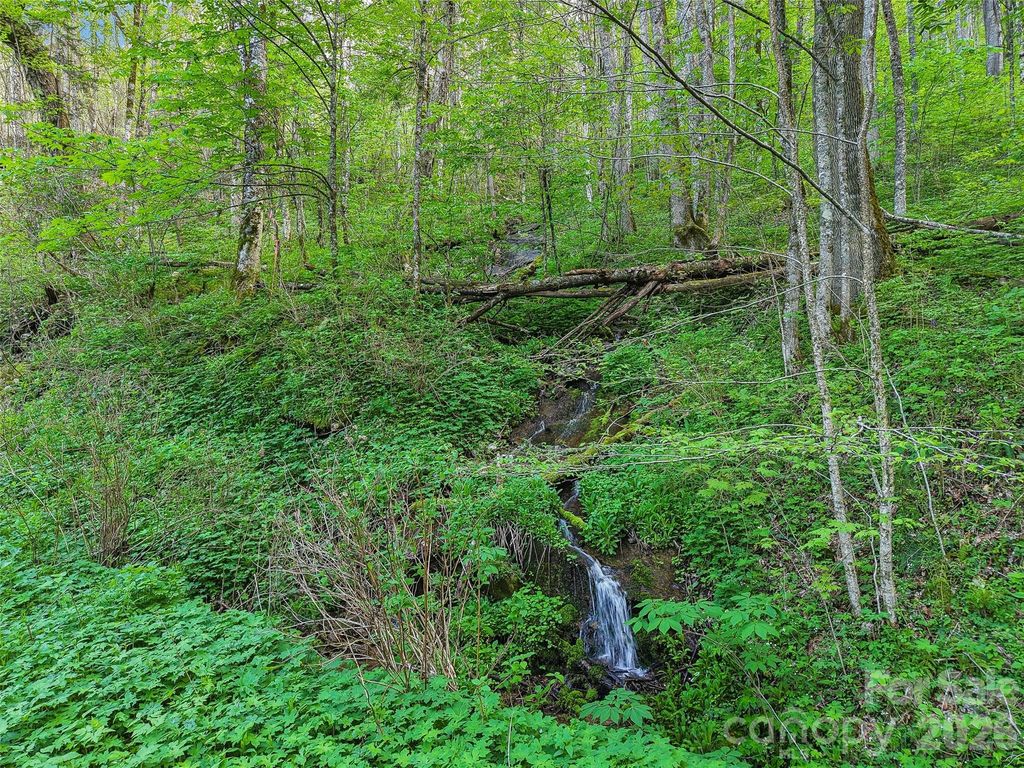 00 Star Crest Drive, Waynesville, NC 28785