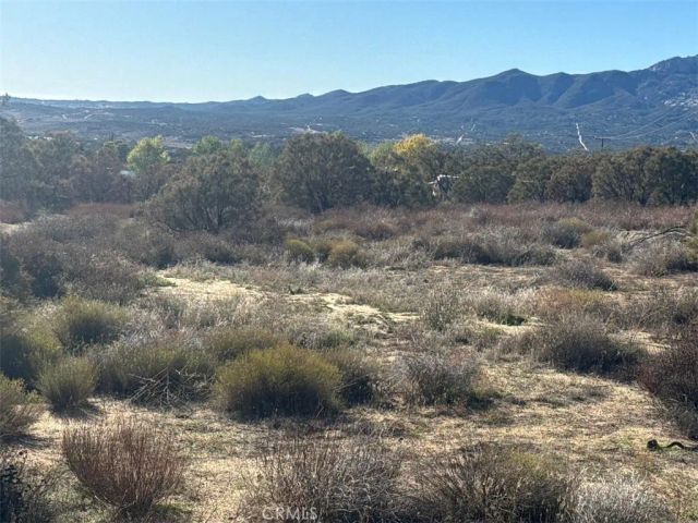 40570 Elm Brush, Anza, CA 92539