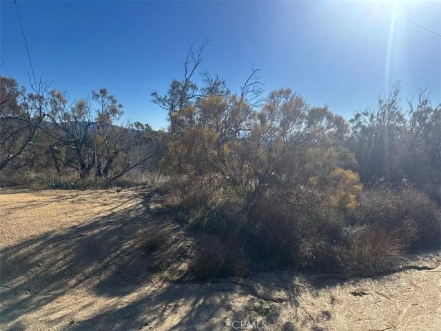 40570 Elm Brush, Anza, CA 92539