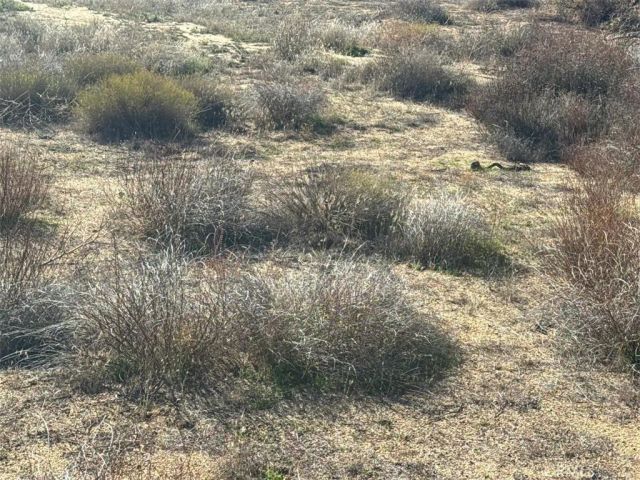 40570 Elm Brush, Anza, CA 92539
