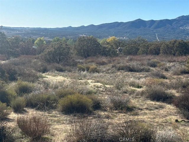 40570 Elm Brush, Anza, CA 92539