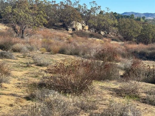 40570 Elm Brush, Anza, CA 92539
