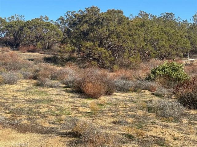40570 Elm Brush, Anza, CA 92539