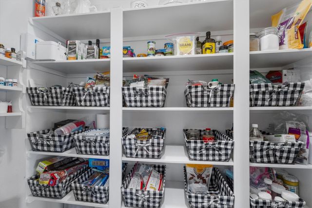 29511 Water Willow Trace Drive, Spring, TX 77386