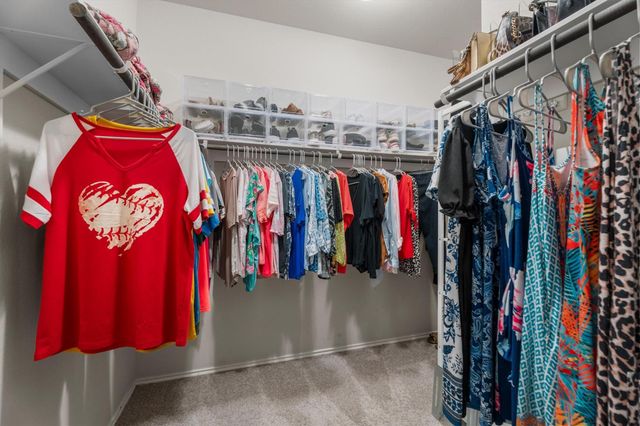 29511 Water Willow Trace Drive, Spring, TX 77386