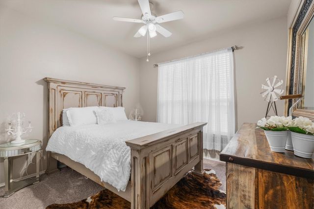 29511 Water Willow Trace Drive, Spring, TX 77386