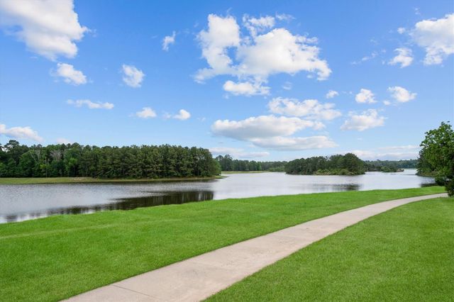 29511 Water Willow Trace Drive, Spring, TX 77386