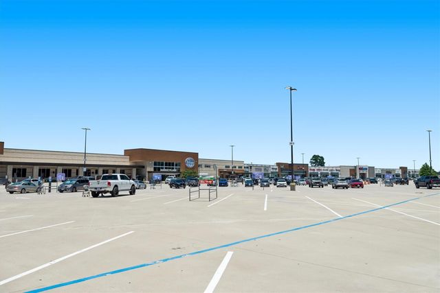 29511 Water Willow Trace Drive, Spring, TX 77386