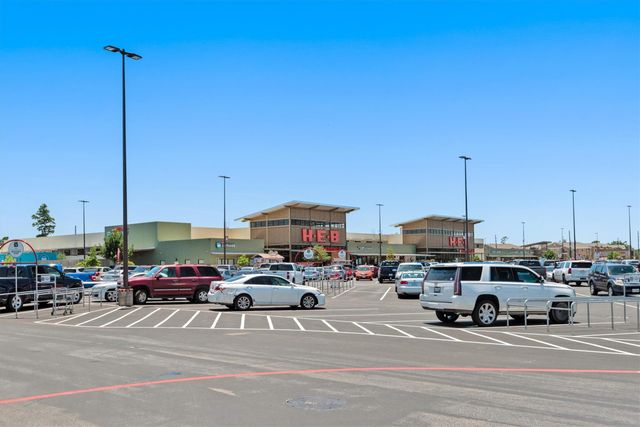 29511 Water Willow Trace Drive, Spring, TX 77386