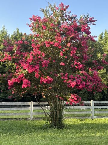 1221 Johnson Branch Rd, Pulaski, TN 38478