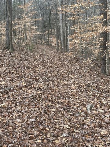 1221 Johnson Branch Rd, Pulaski, TN 38478