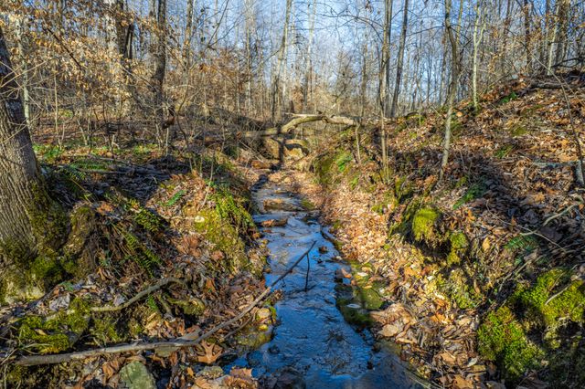 1221 Johnson Branch Rd, Pulaski, TN 38478