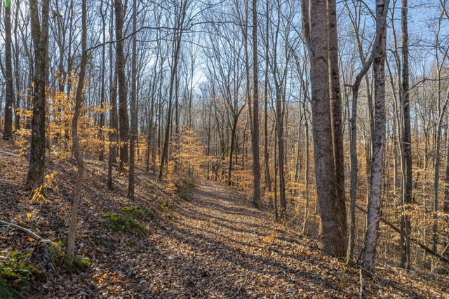 1221 Johnson Branch Rd, Pulaski, TN 38478