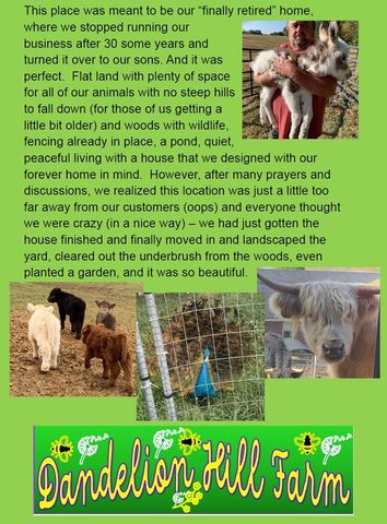 1221 Johnson Branch Rd, Pulaski, TN 38478