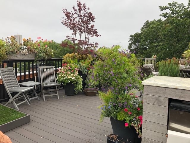 69 Rutland St 3, Boston, MA 02118