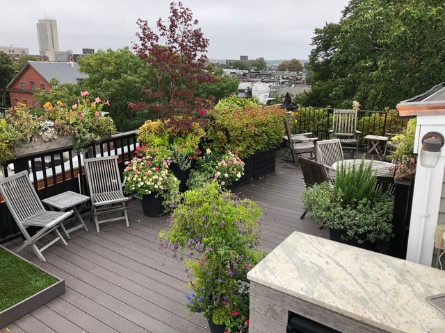 69 Rutland St 3, Boston, MA 02118