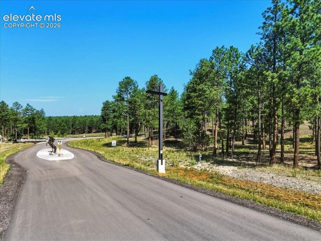 14931 Quartz Creek Drive, Colorado Springs, CO 80908 — photo 2